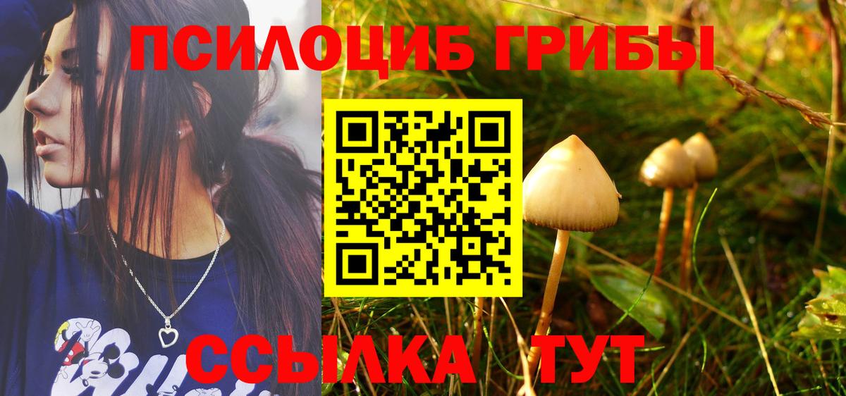 Минусинск  Псилоцибиновые грибы Psilocybine cubensis  Вход с VPN 