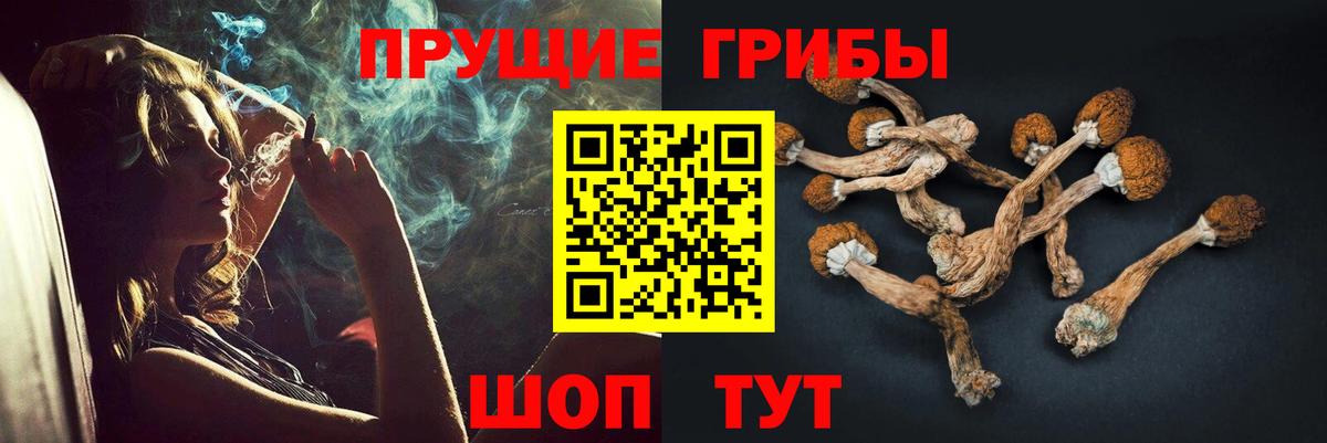 Псилоцибиновые грибы прущие грибы Минусинск